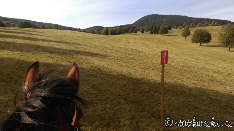 Vytrvalostní závody Paseky 2016